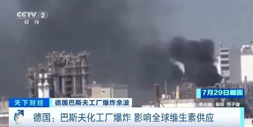 降本增效的黃金搭檔：硒與維生素E的協同奇效